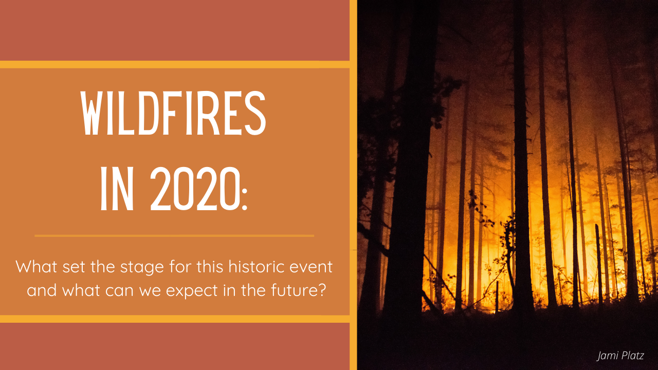 Wildfires in 2020