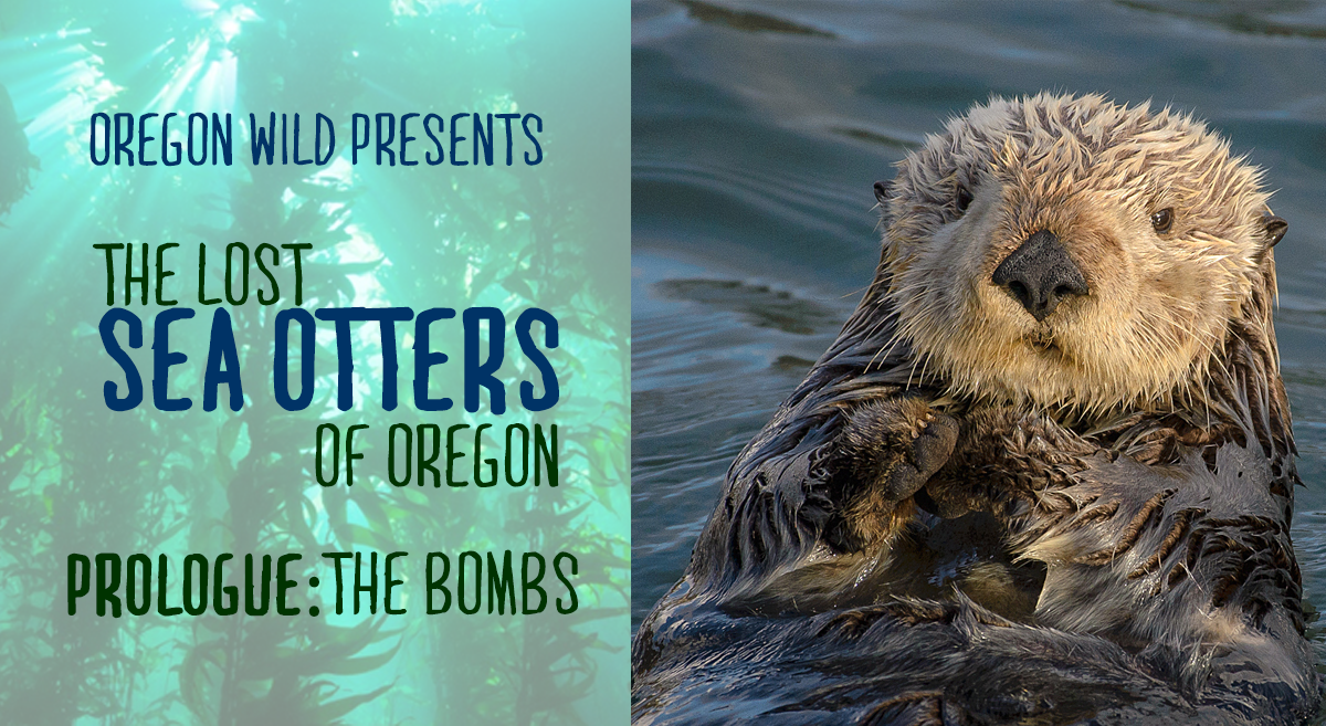 The Lost Sea Otters of Oregon: Prologue