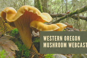 Webcast: Western Oregon Mushrooms