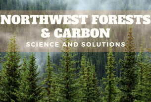 nw forests and carbon title over a green forest