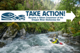 A man paddles down a river in a kayak - Take Action: Become a Citizen Cosponsor of the Oregon River Democracy Act