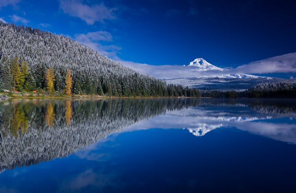 Mount Hood National Forest by Anatoliy Fyodorov