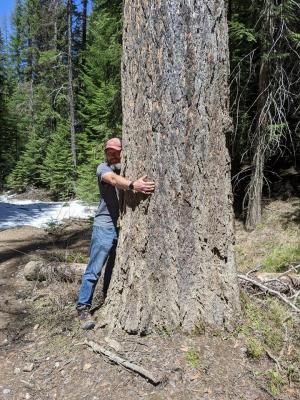 Lostine Old Growth Rob Klavins Oregon Wild