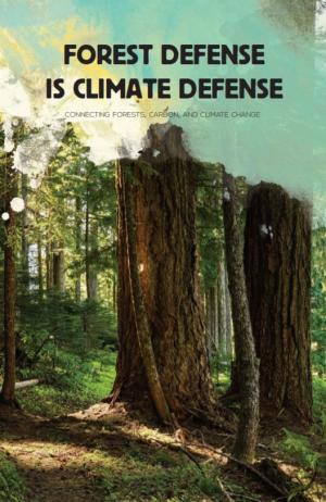 Oregon Wild Report: Forest Defense is Climate Defense.