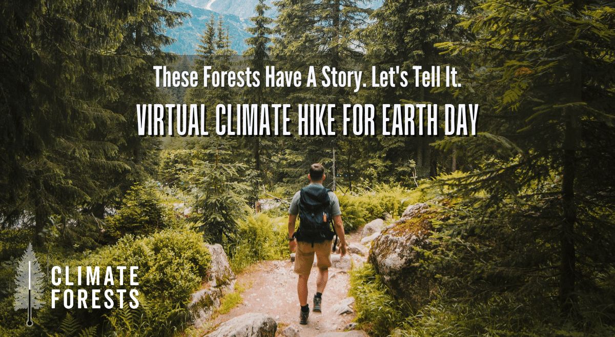 A man hikes through a forest text: These forests have a story - let's tell it. Virtual climate hike for Earth Day.