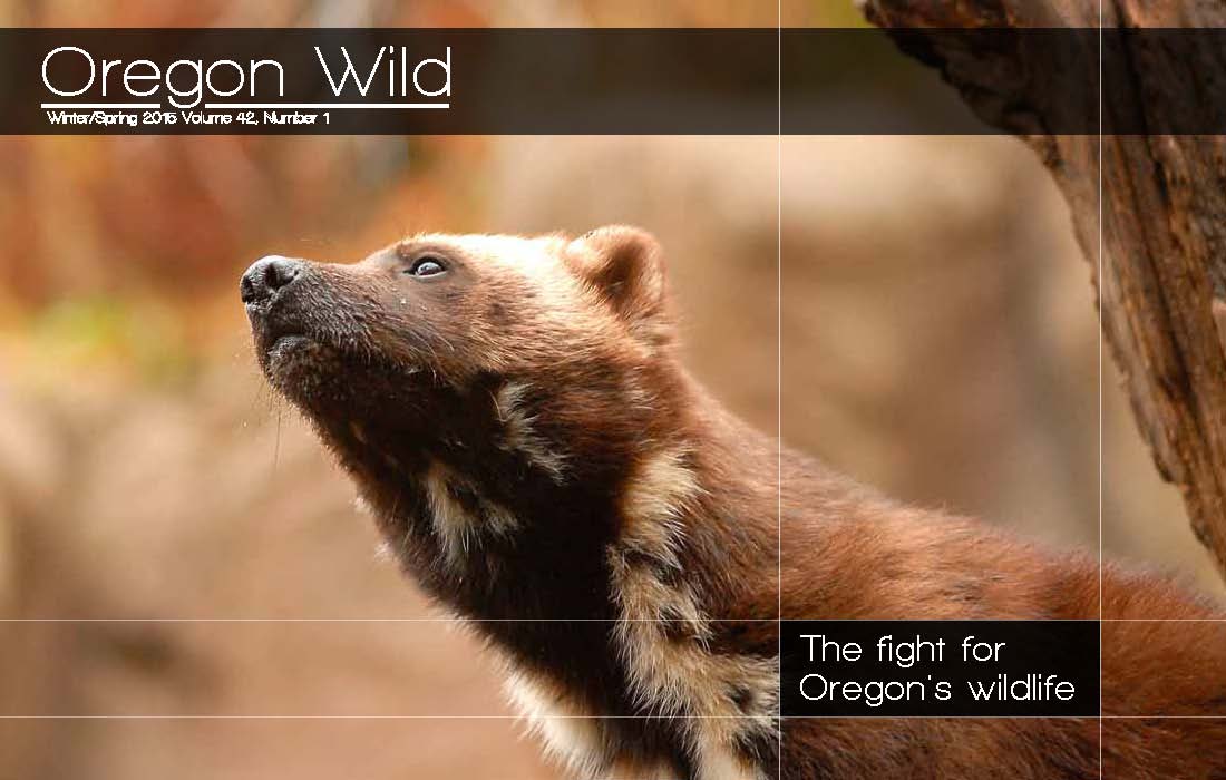 Oregon Wild Newsletter Spring Summer 2014 Cover
