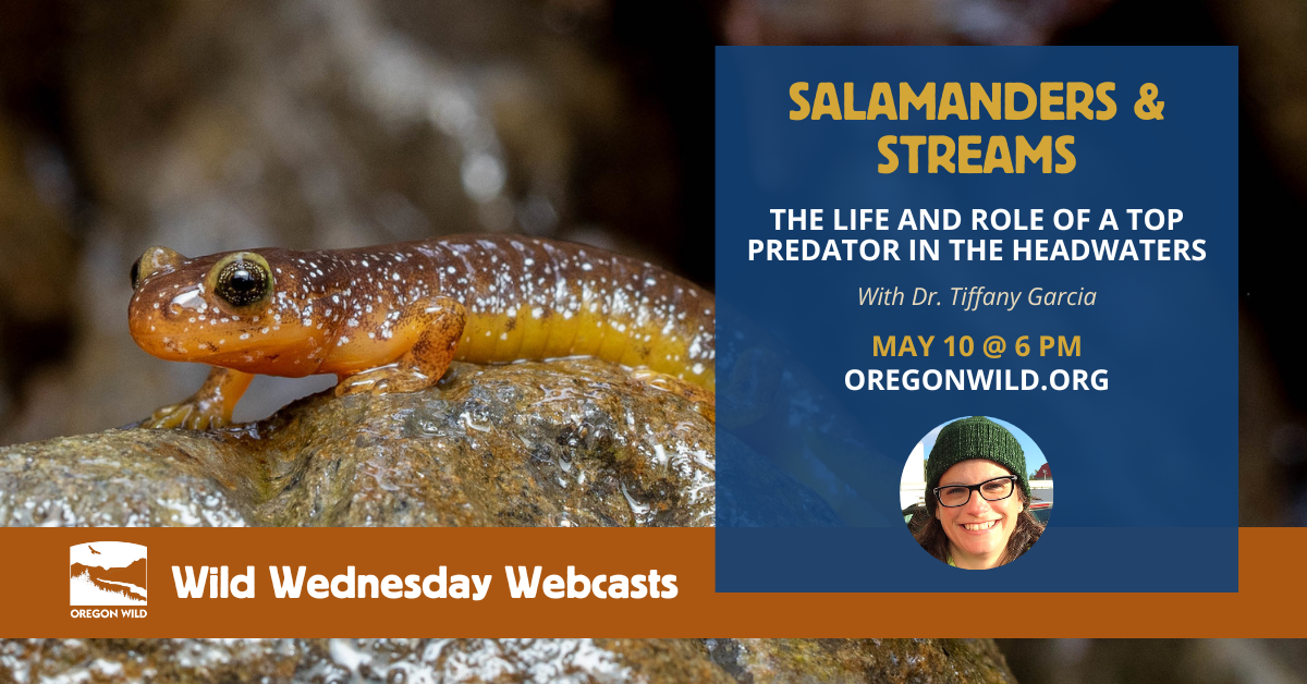 join our salamander webcast on my 10th