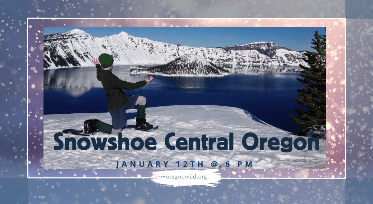 Snowshoe Central Oregon - January 12th at 6 PM; a hiker poses on the snow-covered rim of Crater Lake with Wizard Island in the background 