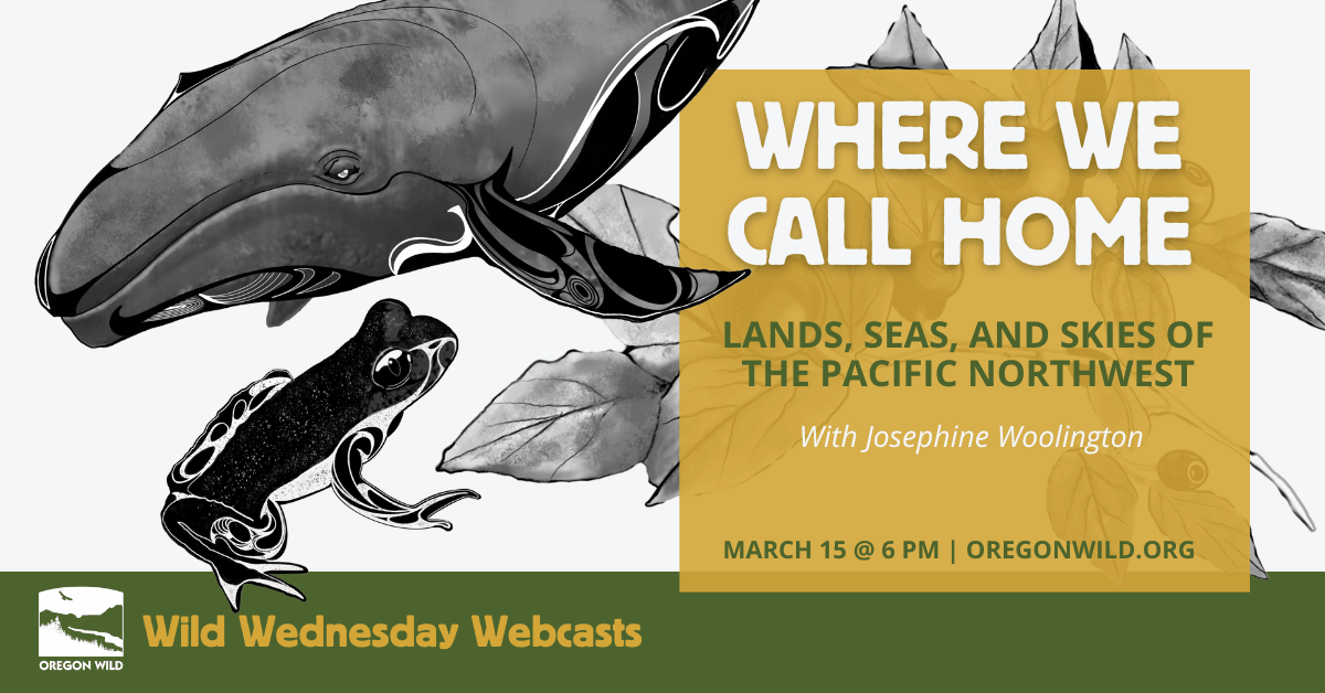 Illustrations of a whale frog and huckleberry - Where We Call Home Webcast 6 PM on March 15th 