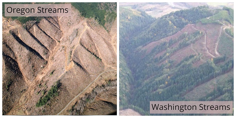 Side by Side comparison of Washington and Oregon Stream Buffers