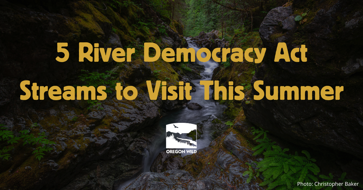 5 River Democracy Act Streams to Visit This Summer overlayed on top of river photo