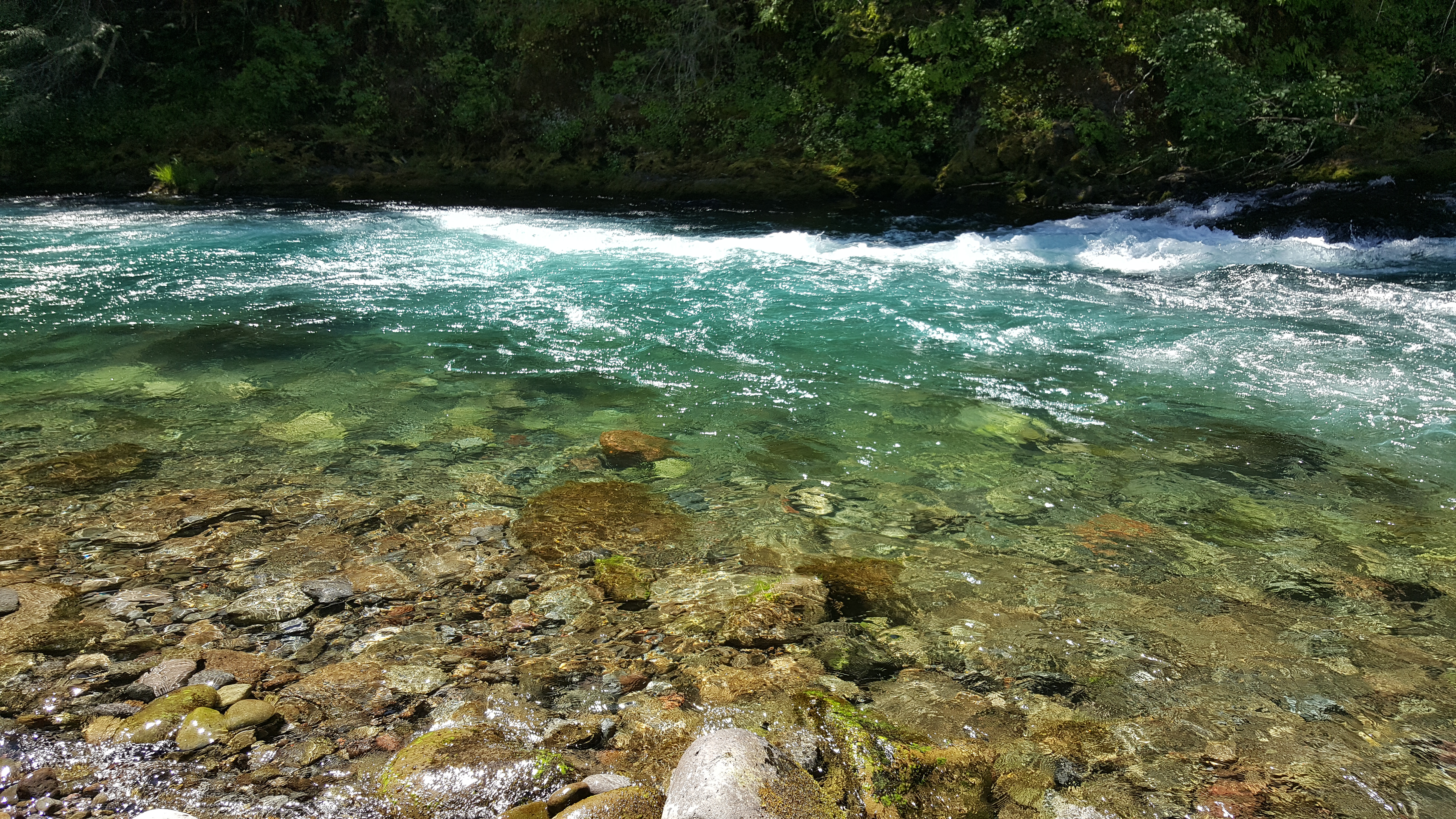 The beautiful blue-clear waters of the McKenzie River