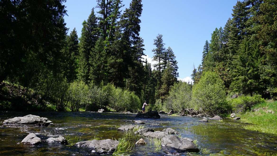 Deep Creek, in the Ochoco N.F., is an important (but unprotected) creek that qualifies for Wild & Scenic River protections.