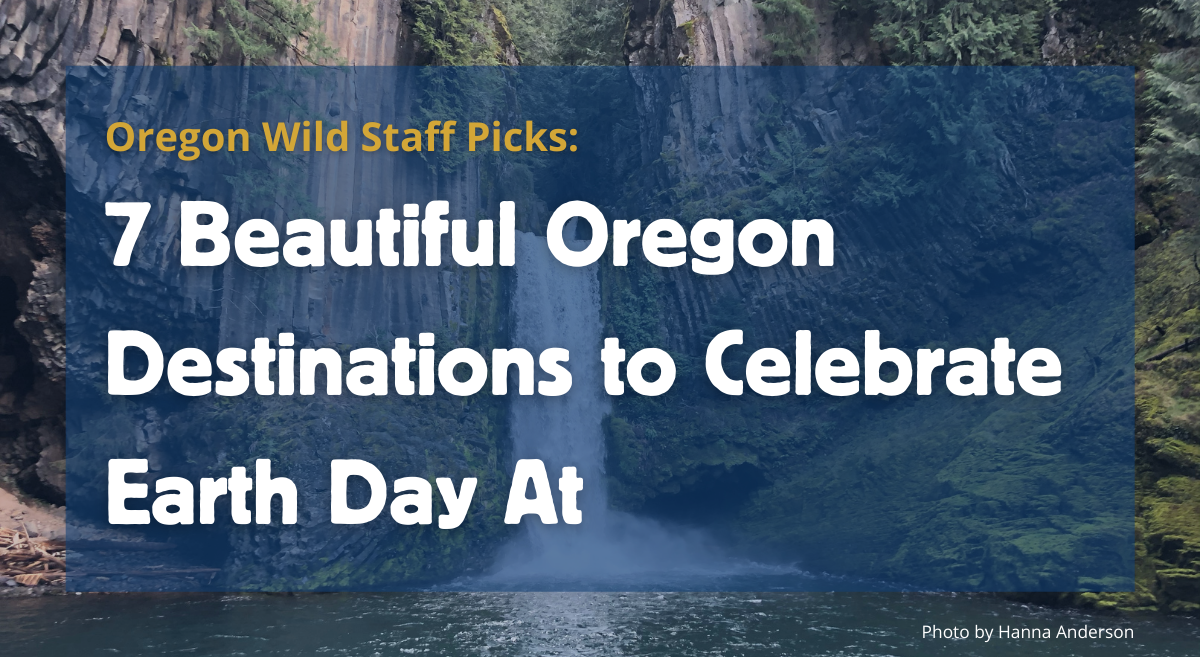 Image of Toketee Falls with text overlay that says "Oregon Wild Staff Picks: 7 Beautiful Oregon Destinations to Celebrate Earth Day At" on top of a semi transparent blue box