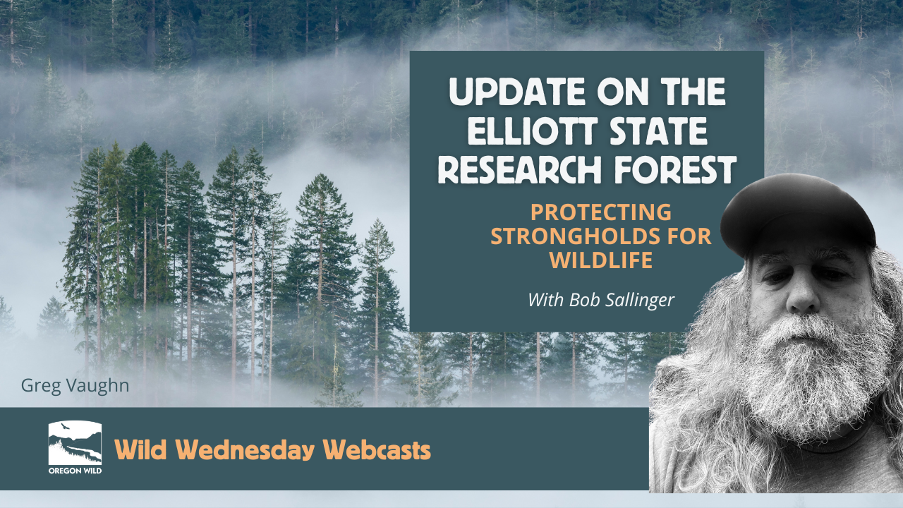Forest tops surrounded by fog from a distance Text: Update on the Elliott State Research Forest - Protecting Strongholds for Wildlife with Bob Sallinger 