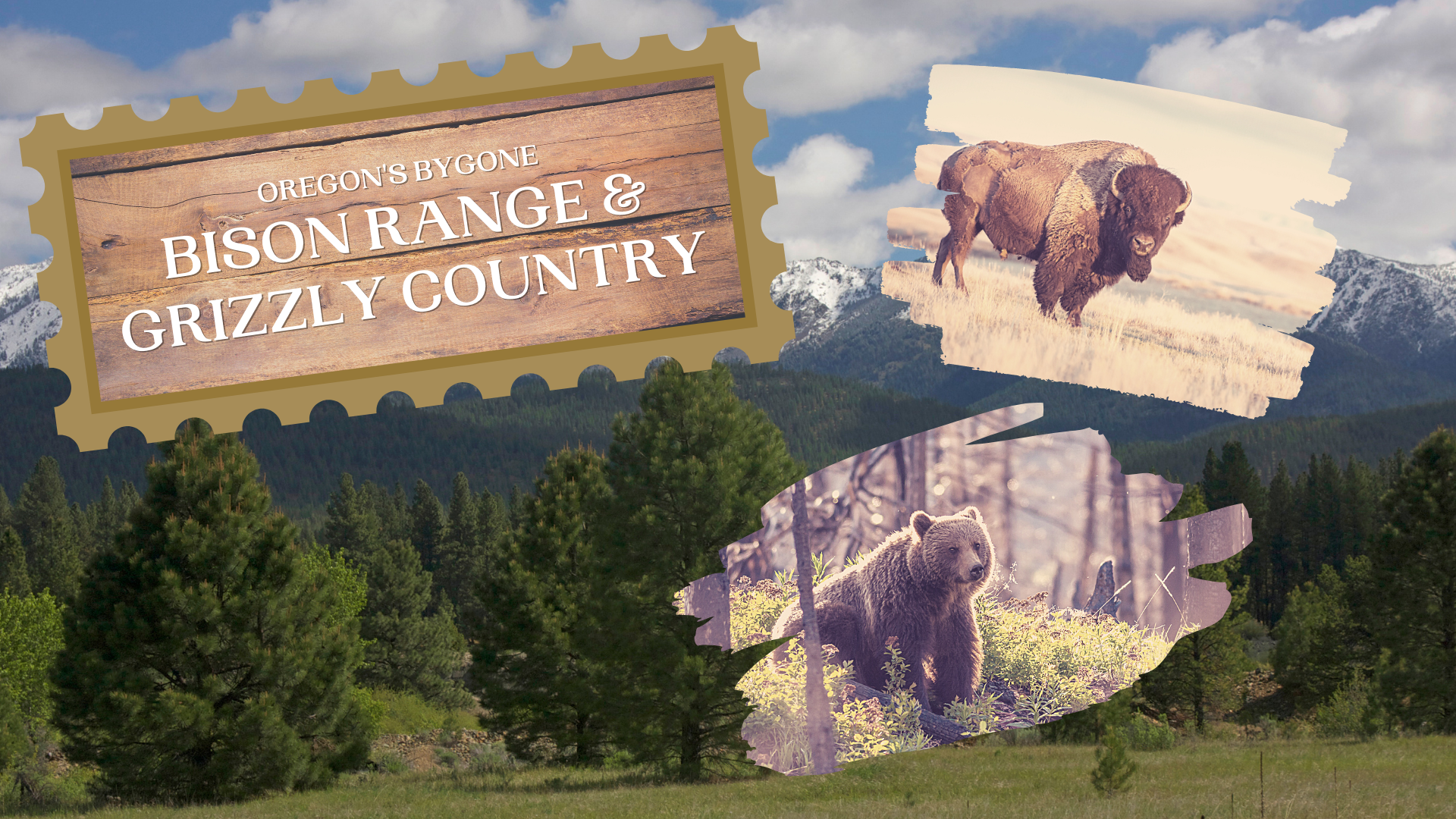 A bison and grizzly are pictured next to the title Oregon as Bygone Bison and Grizzly Country