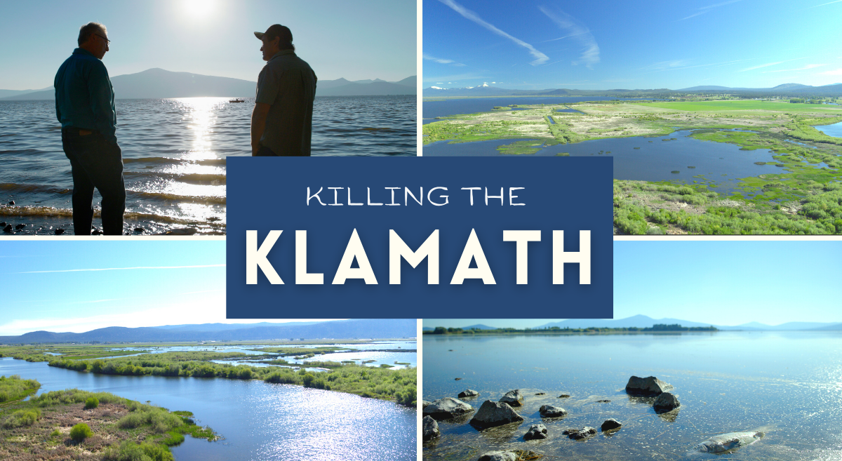 A collage of four images of the Klamath River are displayed. One image has two figures silhouetted and a different picture displays the river with a dead fish. A text box centered between all the images reads the title, which is Killing the Klamath. 