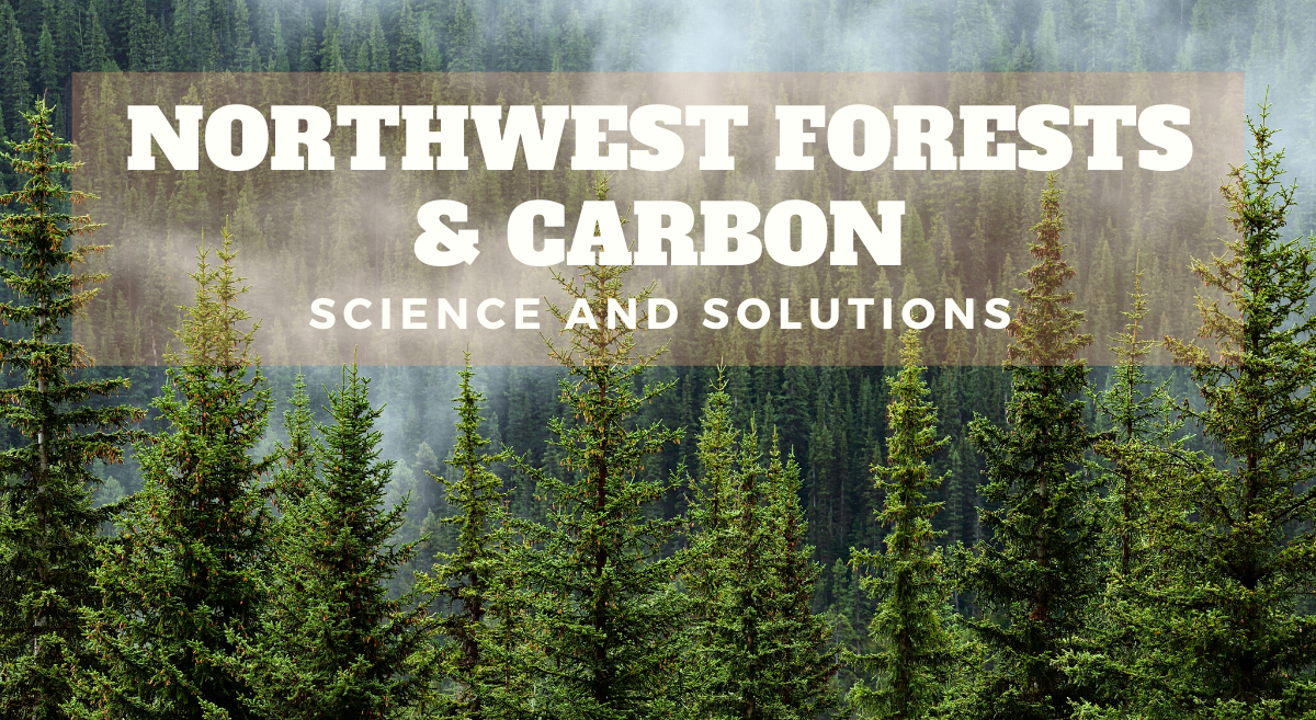 nw forests and carbon title over a green forest