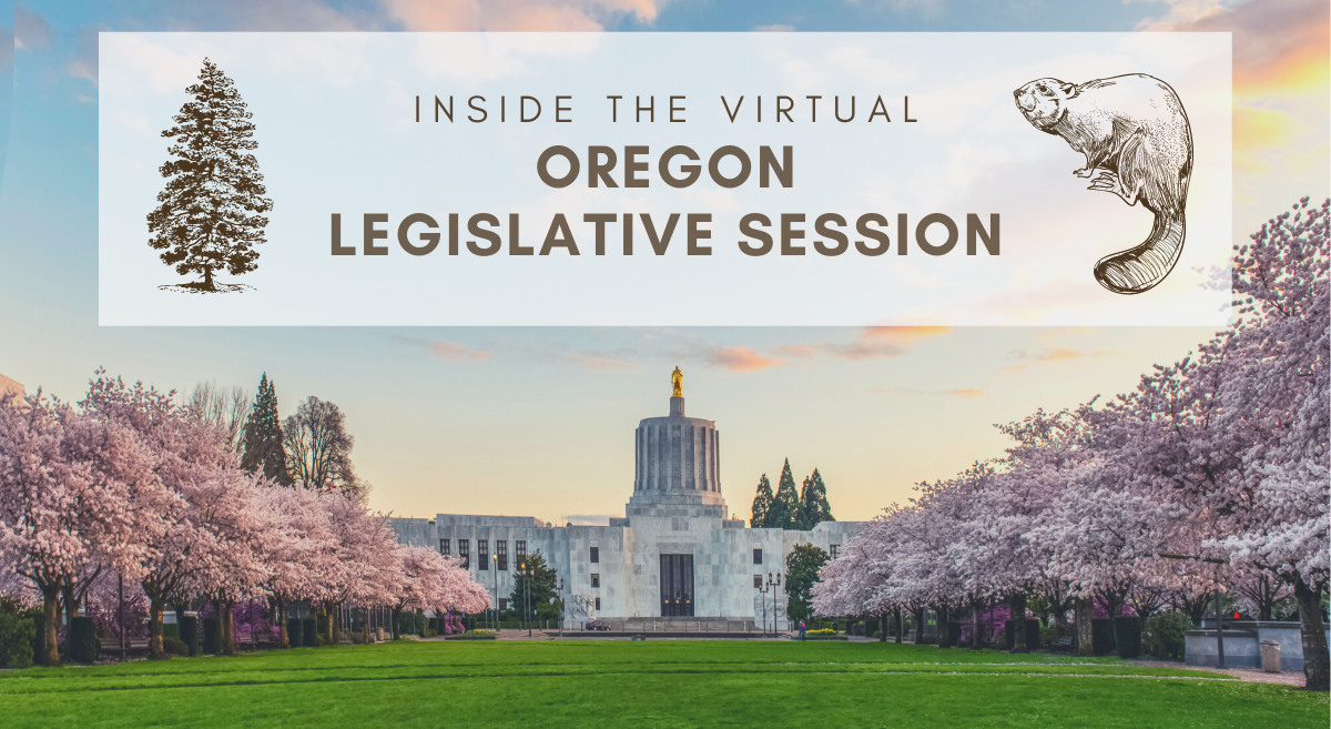 Webcast: Inside the (virtual) Oregon Legislative session
