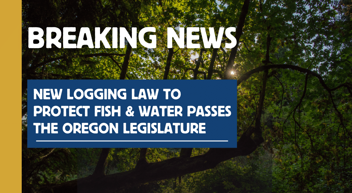 BREAKING NEWS: The Private Forest Accord Passes!