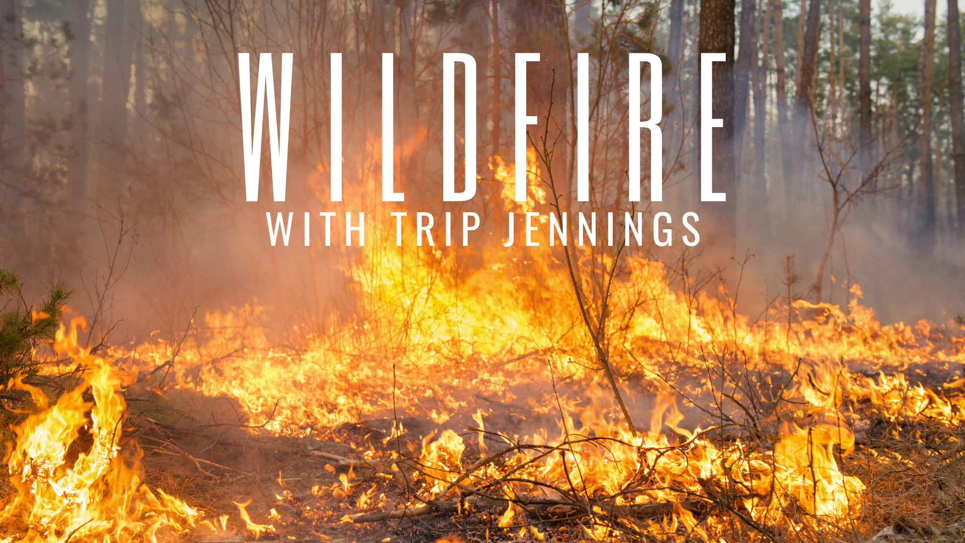 The Truth About Wildfires