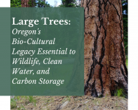 Oregon's Bio-Cultural Legacy Essential to Wildlife, Clean Water, and Carbon Storage