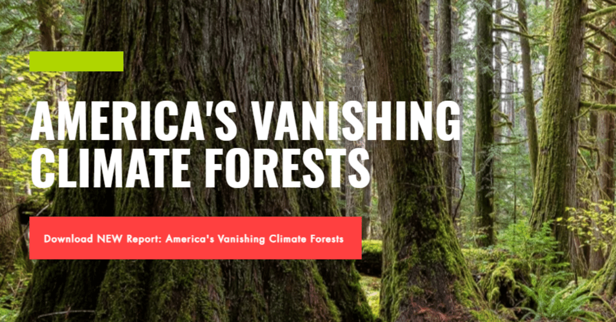 America's Vanishing Forests