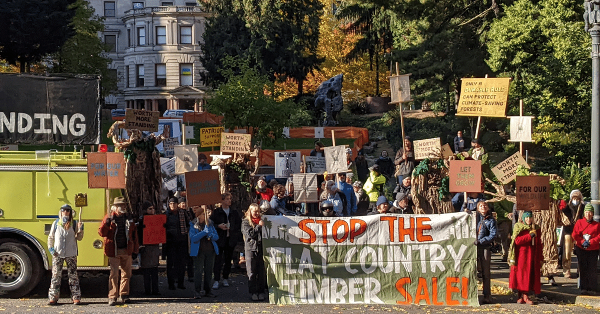 Protestors rally with signs for forests and climate