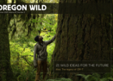 Oregon Wild's 2020 Summer Newsletter