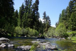 An angler fishing for redband trout in a Central Oregon stream