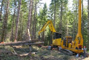 Logging operation on the Siuslaw National Forest