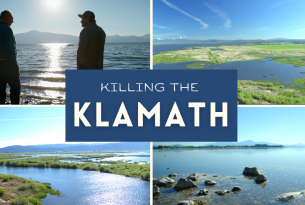 A collage of four images of the Klamath River are displayed. One image has two figures silhouetted and a different picture displays the river with a dead fish. A text box centered between all the images reads the title, which is Killing the Klamath. 