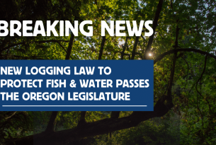BREAKING NEWS: The Private Forest Accord Passes!