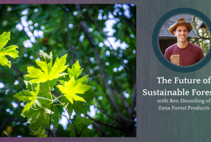 Webcast: Sustainable Forestry for the Future
