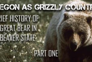 Oregon as Grizzly Country