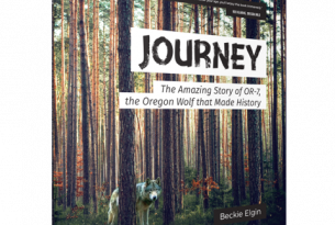 Journey Book Cover