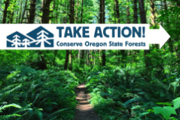 A trail cuts through the center of the photo with lush green ferns and tree trunks rising up on either side. Illustrated graphic featuring trees, hills, and a running stream. Text: Take Action - Conserve Oregon State Forests