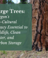 Oregon's Bio-Cultural Legacy Essential to Wildlife, Clean Water, and Carbon Storage