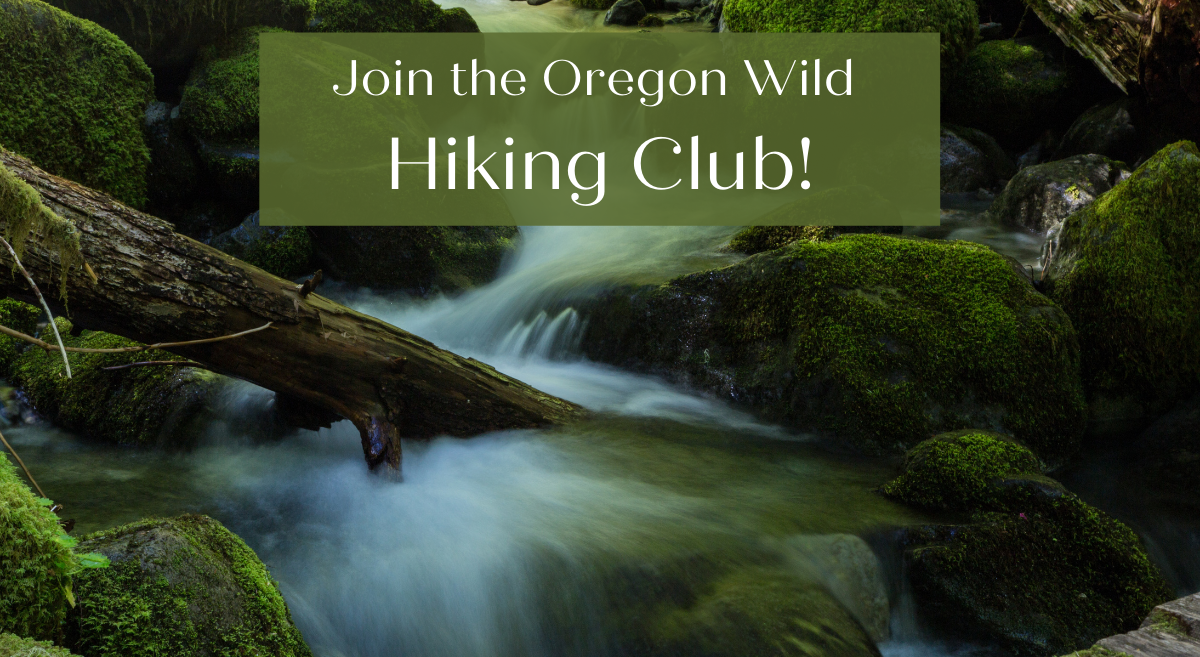 Text: Join the Oregon Wild Hike Club" over the photo of a river running through a green and mossy forest