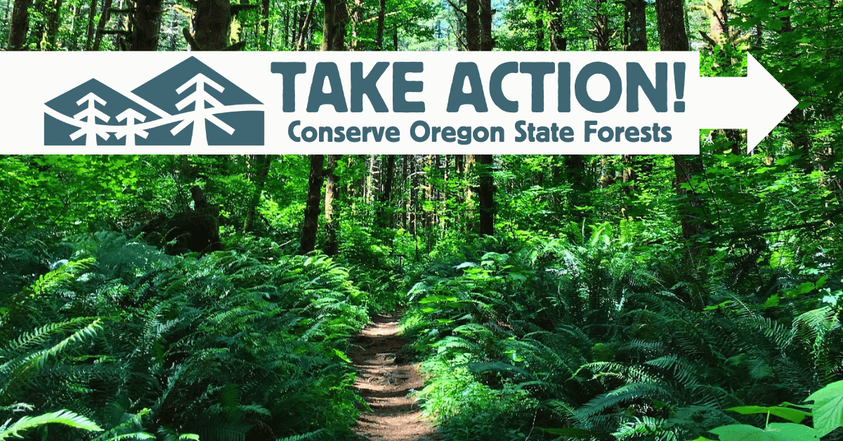 Take Action: Conserve Oregon State Forests