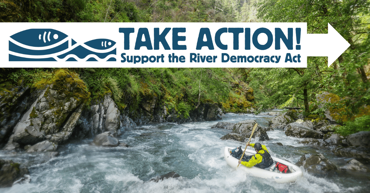 A man paddles down a river in a kayak - Take Action: Support the Oregon River Democracy Act