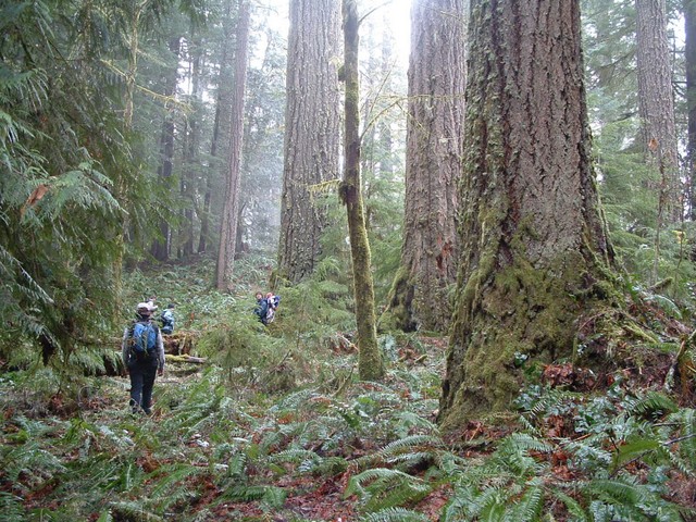 Press Statement: Oregon Wild Applauds BLM Public Lands Conservation Rule