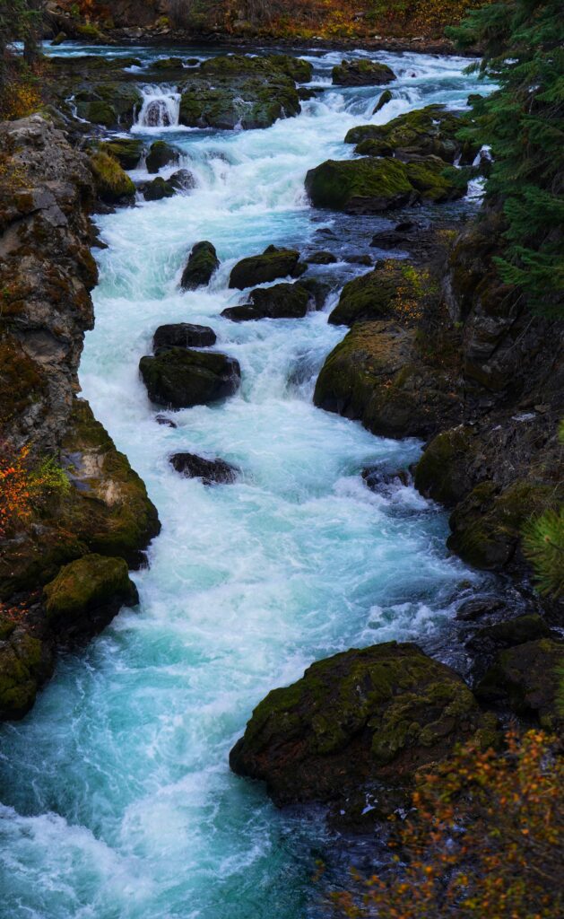 1.3 million Oregonians would benefit from drinking water protections under the River Democracy Act
