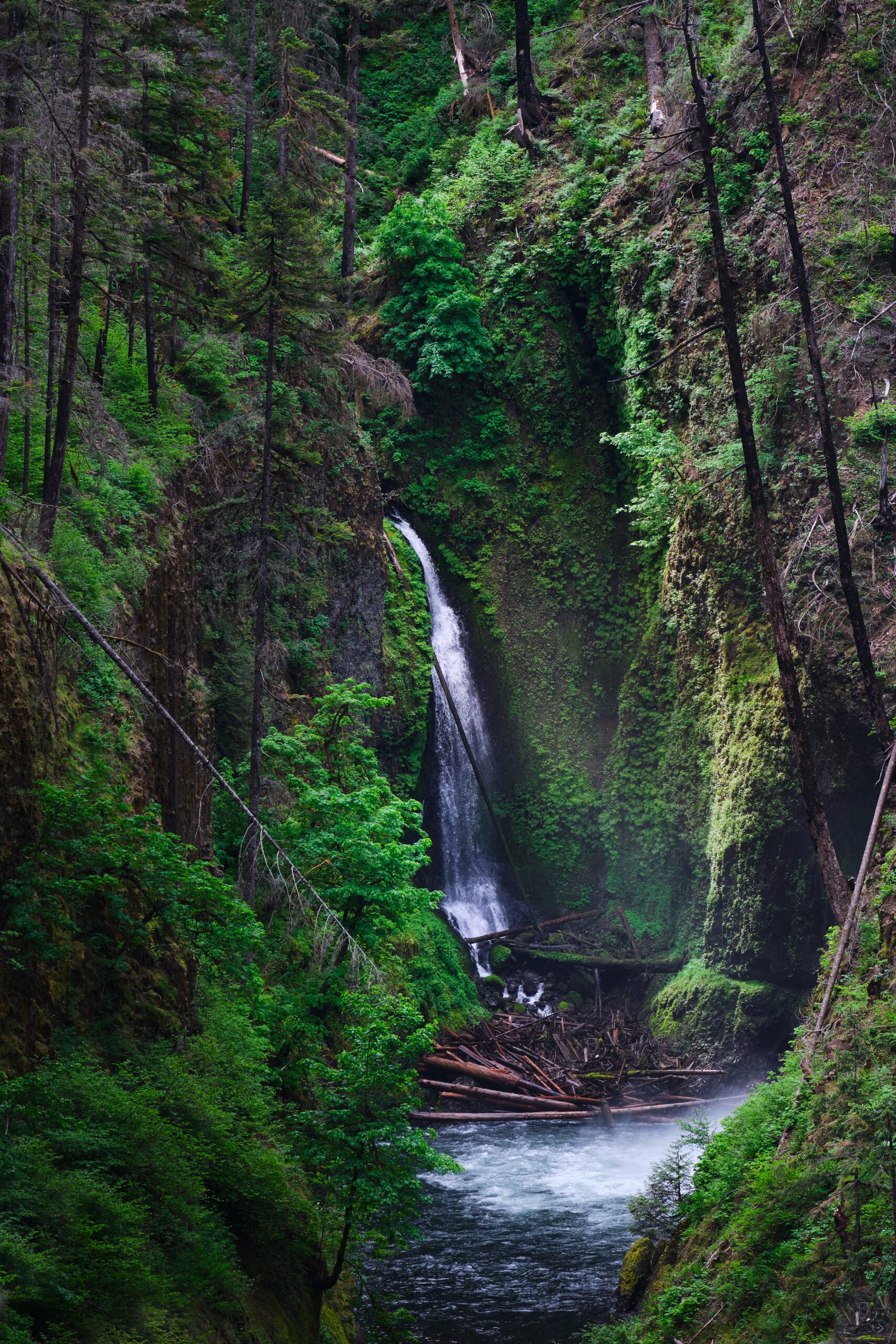 Eagle Creek by Evan Marx