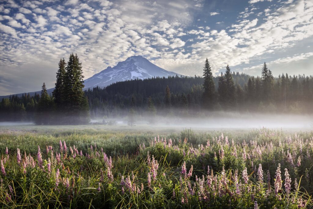 The Fight to Protect Mt.Hood