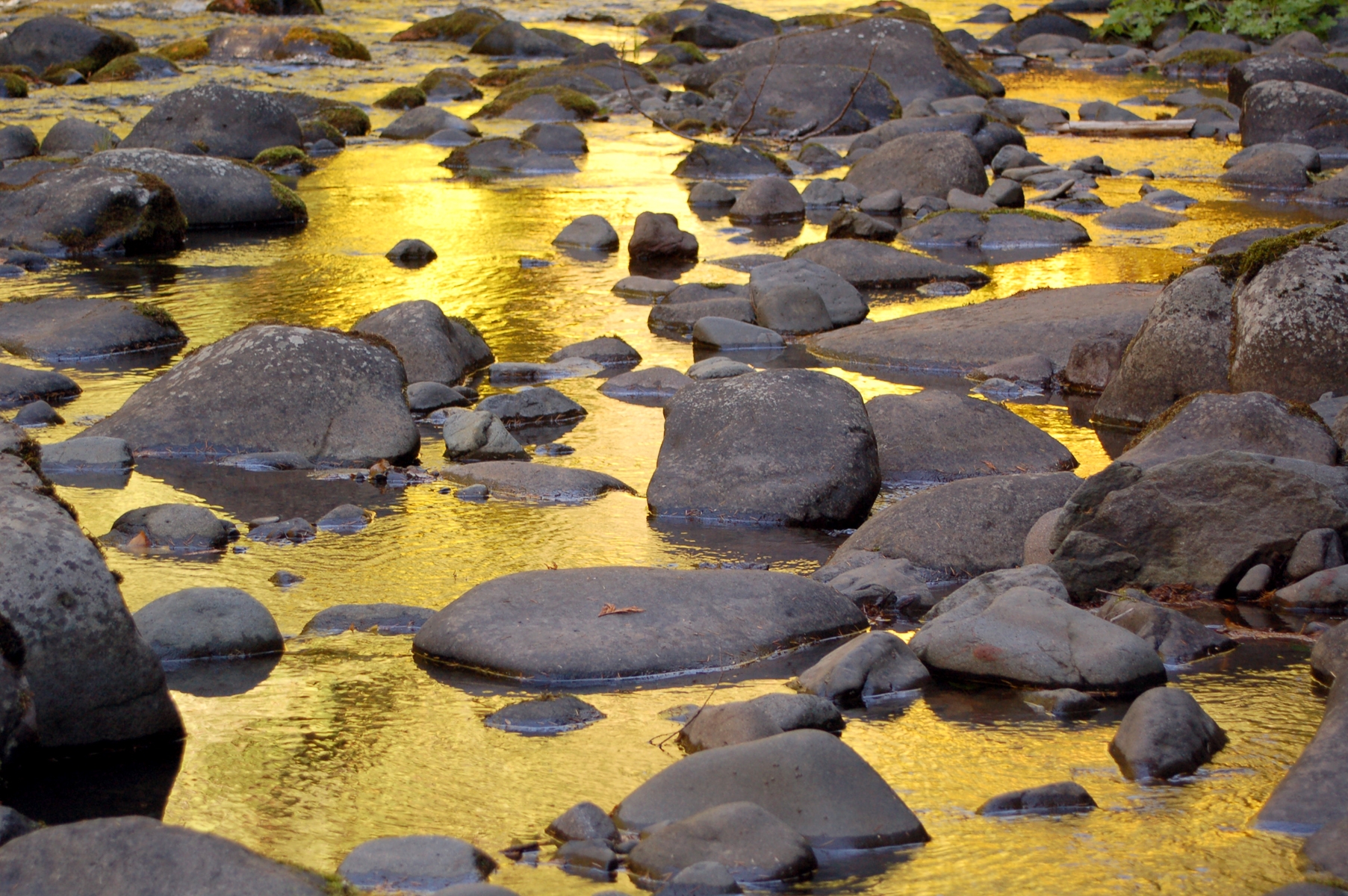 Salmon River by Samantha Johnson