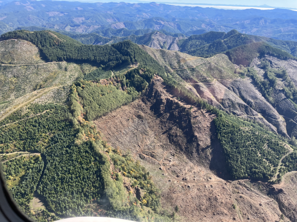 Industrial Logging owned by Stimson Timber adjacent to Tillamook State Forest