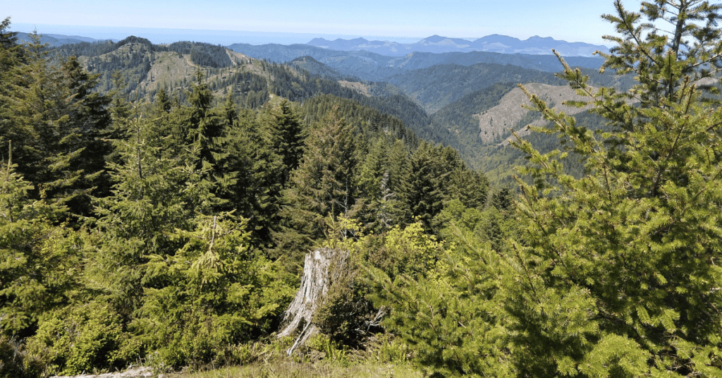 Compromise Conservation Plan Advances for Oregon State Forests