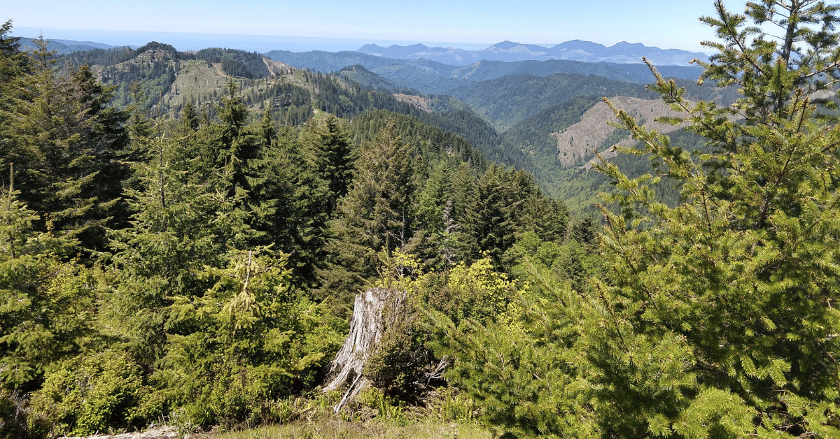 Tillamook State Forest