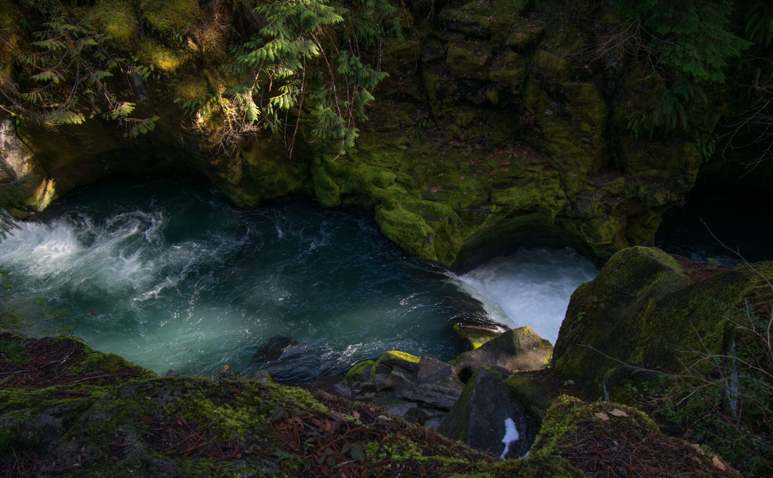 Umpqua Toketee Falls by Josh Hoffman